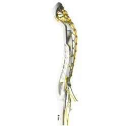 Gait Draw-M Complete Women's Lacrosse Stick -Men's Lacrosse Sales Store 2013335 3